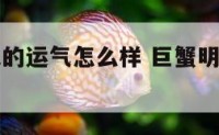 巨蟹座明天的运气怎么样 巨蟹明天的运势如何