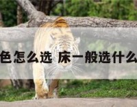 床的颜色怎么选 床一般选什么颜色好