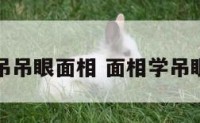 吊吊眼面相 面相学吊眼