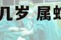 农历1966属蛇几岁 属蛇66岁是哪年出生的