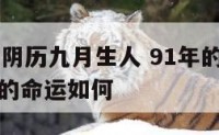 91年属羊阴历九月生人 91年的羊农历九月份出生的命运如何