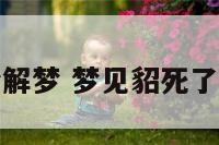 梦见貂周公解梦 梦见貂死了是什么预兆