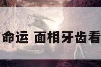 面相牙齿与命运 面相牙齿看性格和人生