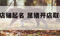 属猪开店店铺起名 属猪开店取名字2020年