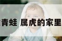 属虎可以摆放青蛙 属虎的家里可以摆放虎吗