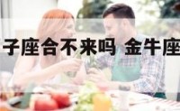 金牛座和狮子座合不来吗 金牛座和狮子座可以在一起吗