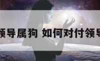 如何对付领导属狗 如何对付领导属狗的人