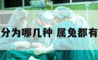 属兔分为哪几种 属兔都有哪些