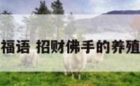 招财佛手祝福语 招财佛手的养殖方法和修剪