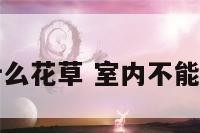 室内不能养什么花草 室内不能养什么花草呢