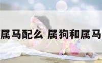 属狗和属马配么 属狗和属马配不配
