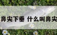 面相鼻尖下垂 什么叫鼻尖下垂