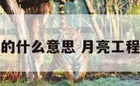 做月亮工作的什么意思 月亮工程是什么样的