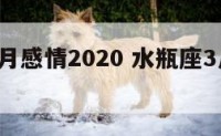 水瓶座3月感情2020 水瓶座3月下旬感情