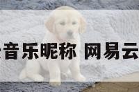 王易云音乐昵称 网易云网名字