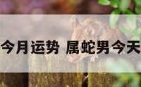 属蛇男今月运势 属蛇男今天的财运