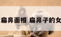 女扁鼻面相 扁鼻子的女星
