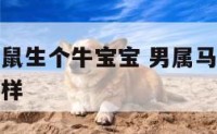 男属马女属鼠生个牛宝宝 男属马女属鼠生个牛宝宝怎么样