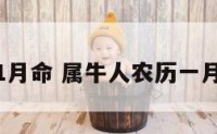 属牛农历1月命 属牛人农历一月出生命运