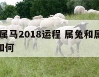 属兔和属马2018运程 属兔和属马2018运程如何