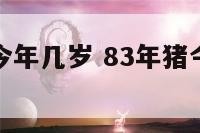 83年属猪今年几岁 83年猪今年几岁2020