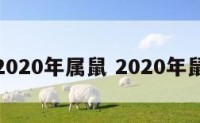 预测2020年属鼠 2020年鼠算命