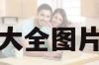 包含明星大全图片男的词条