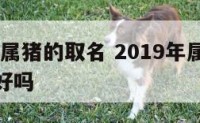 2019年属猪的取名 2019年属猪的取名丞字好吗