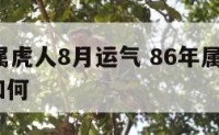 86年属属虎人8月运气 86年属属虎人8月运气如何