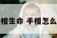 测量手相生命 手相怎么看生命