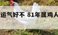 81年属鸡运气好不 81年属鸡人的运势与婚姻