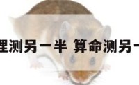 命理测另一半 算命测另一半