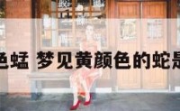 梦见黄颜色蜢 梦见黄颜色的蛇是什么意思