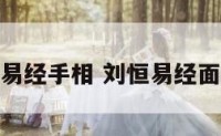 刘恒讲易经手相 刘恒易经面相视频