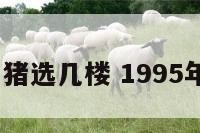 1995年属猪选几楼 1995年猪选楼层