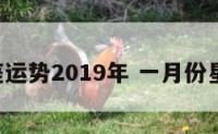 1月星座运势2019年 一月份星座运势