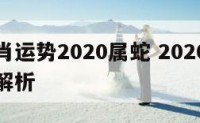 十二生肖运势2020属蛇 2020生肖蛇运势大解析