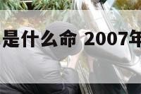 2007属鼠是什么命 2007年属什么生肖啥命