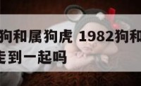 1982狗和属狗虎 1982狗和1986虎能走到一起吗