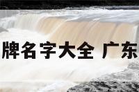 广东家居品牌名字大全 广东的家居品牌