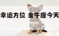 金牛座今天幸运方位 金牛座今天幸运方位运势