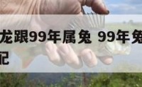 oo年属龙跟99年属兔 99年兔和00年龙配不配