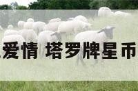 星币正位爱情 塔罗牌星币正位爱情