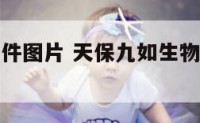 天保九如摆件图片 天保九如生物科技有限公司