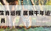 猴年属牛生肖运程 属猴牛年运势2021年运势12生肖