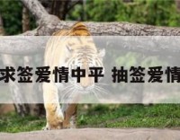 求签爱情中平 抽签爱情