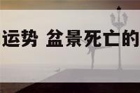 盆景被偷影响运势 盆景死亡的十大原因及对策一