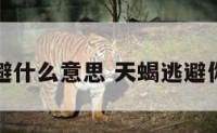 天蝎座逃避什么意思 天蝎逃避你说明什么