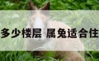 属兔适合住多少楼层 属兔适合住多少楼层好