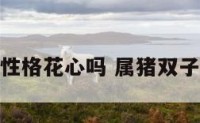 属猪双子男性格花心吗 属猪双子男的爱情观